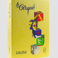 FAVINI PAPER Α4 80gr SINGLE COLOR 500 PAGES