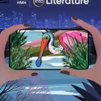 INTO LITERATURE STUDENT EDITION SOFTCOVER GRADE 10