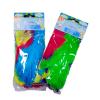 Craft Feathers Large 30pcs